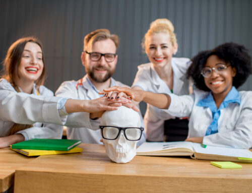 Sociology vs Anthropology Degree: Choosing Your Social Science Path